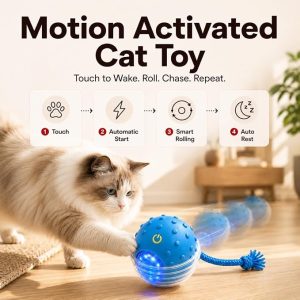 Motion-Activated Rolling Ball