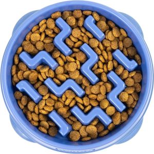 Puzzle Slow Feeder Bowl