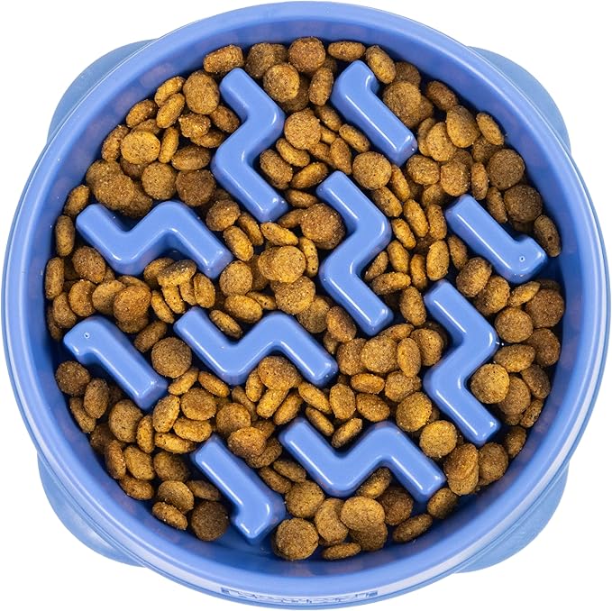 Puzzle Slow Feeder Bowl